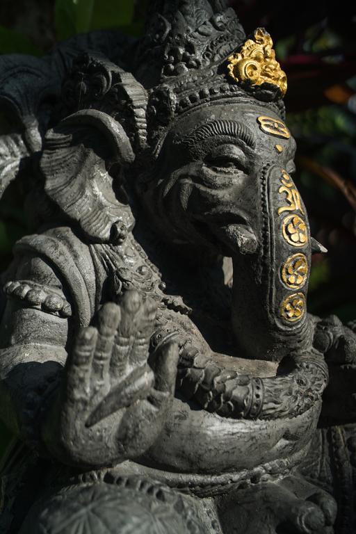 Villa Daksina Ubud  Bilik gambar
